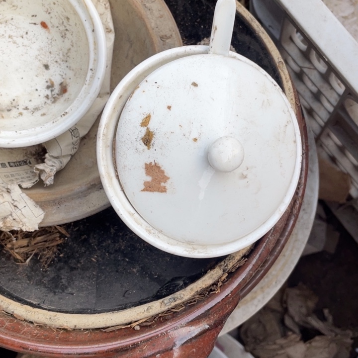 其他陶瓷盘子都便宜