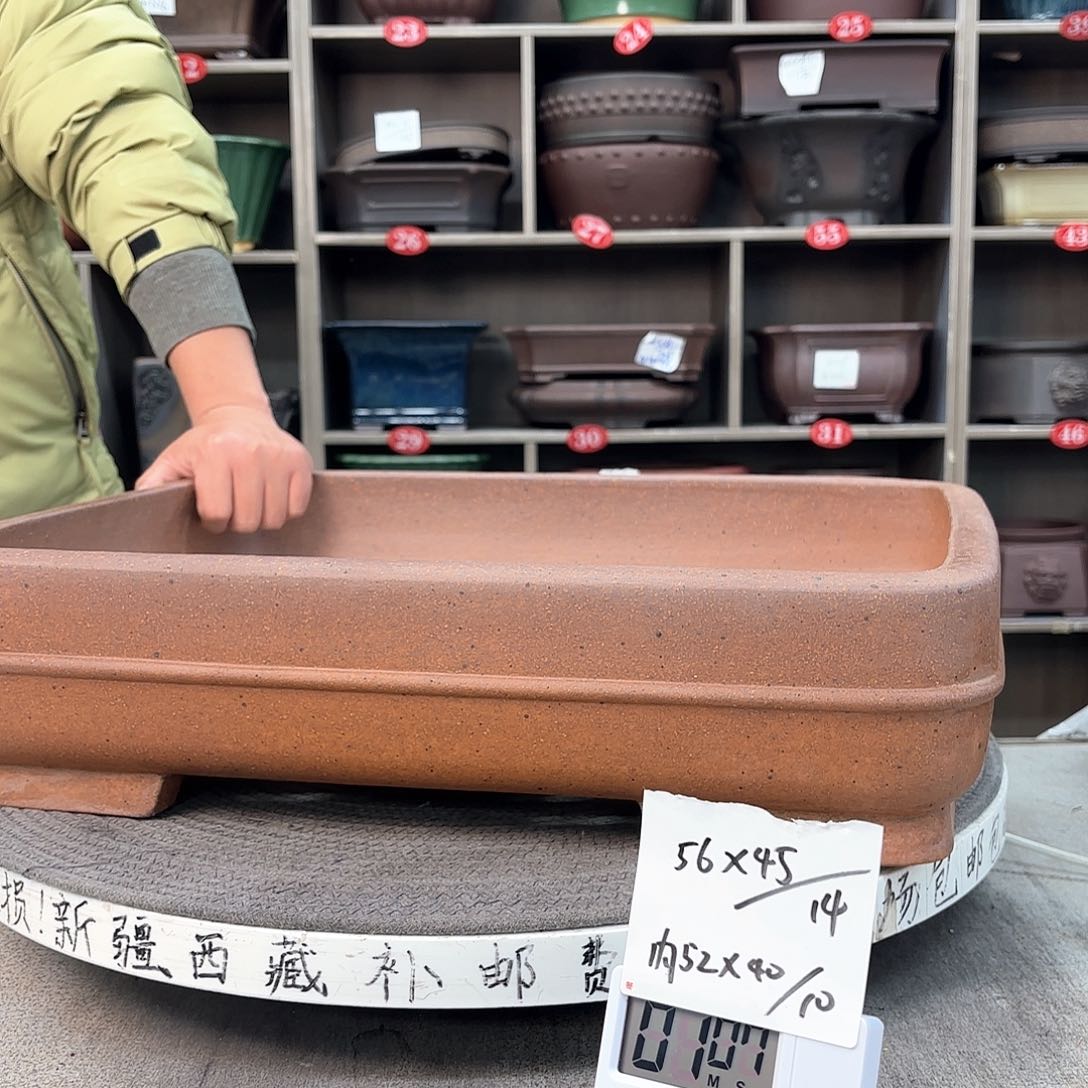 紫砂花盆冷*紫砂的花开