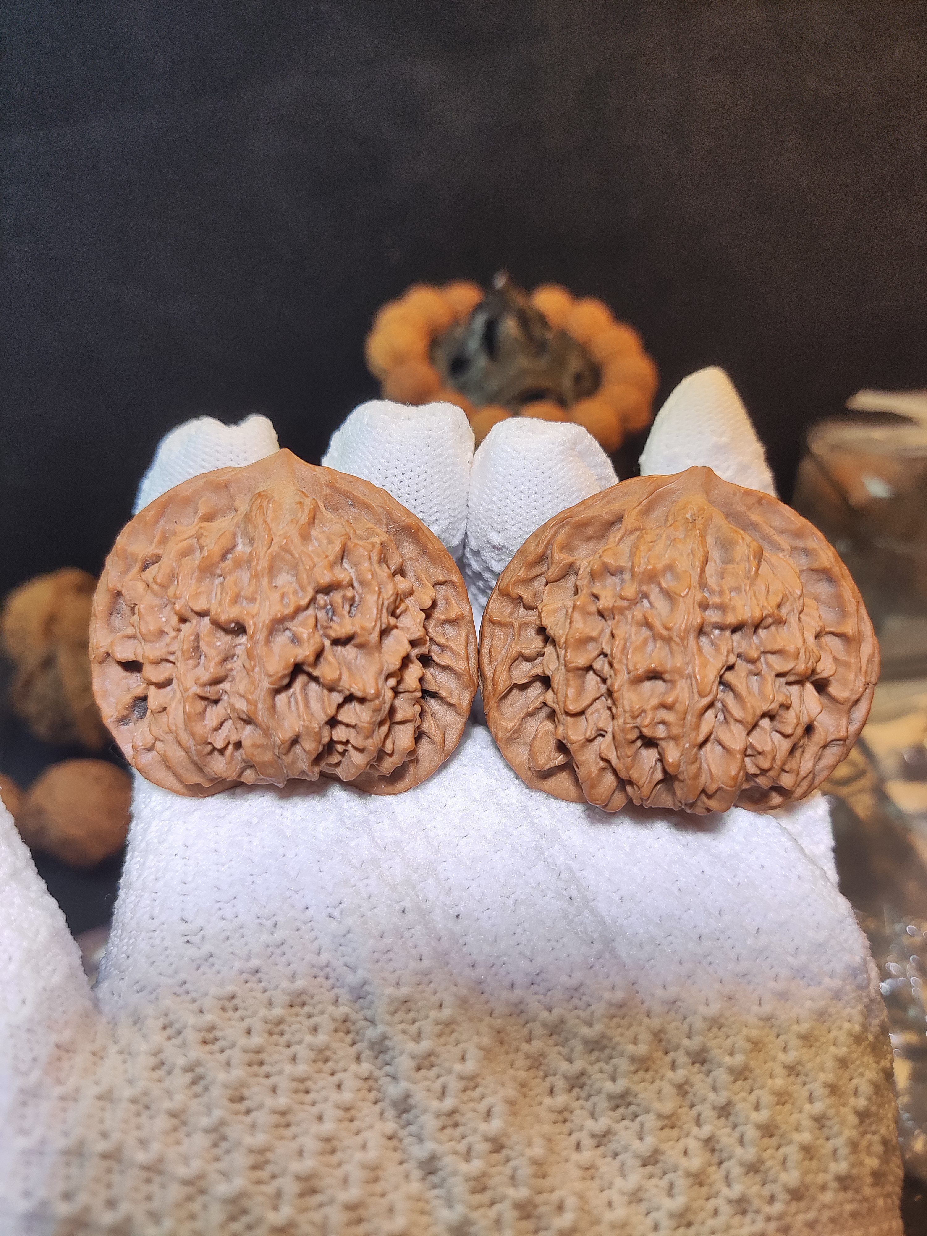 文玩核桃 盘龙文 核桃尺寸47.4mm 