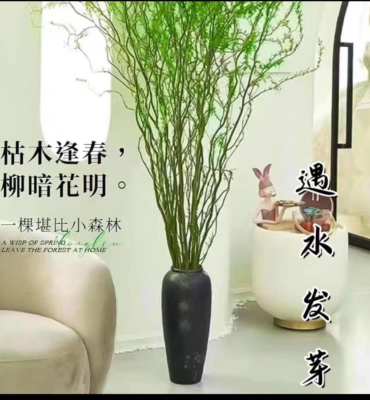国风青龙柳鲜枝根部插花装饰绿植花卉室内绿植盆栽植物好养易活