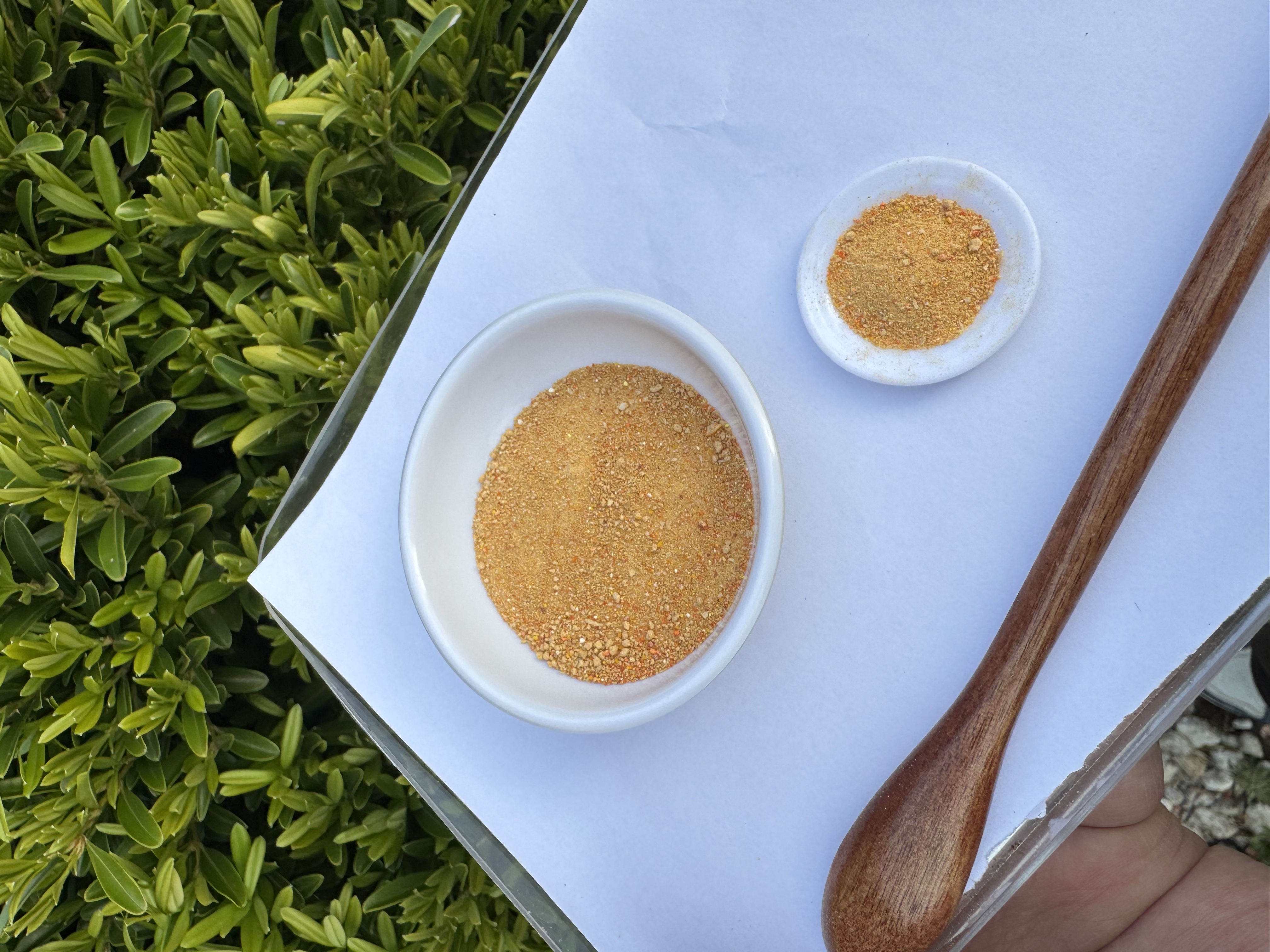 1【牛-黄】净含量：10-200g【阿奎现收】菌