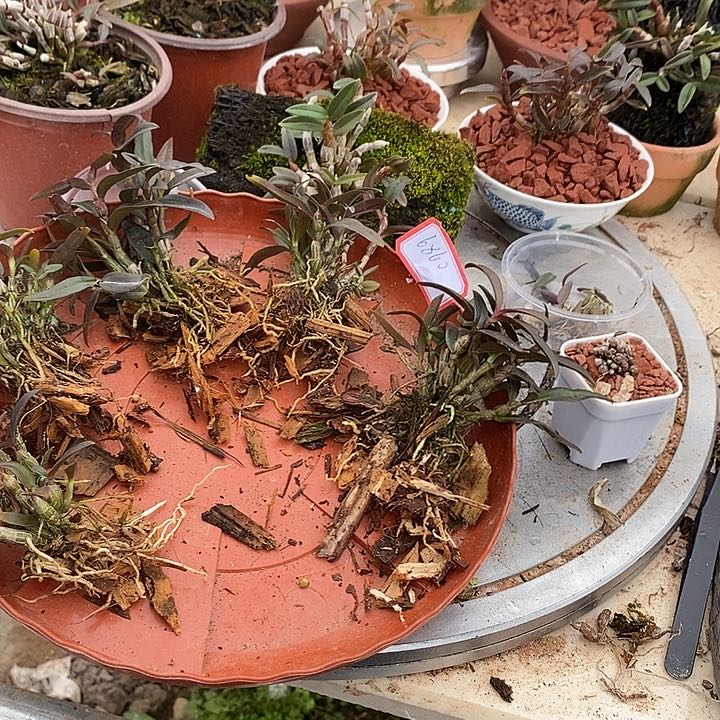 乐**站米铁111111111111