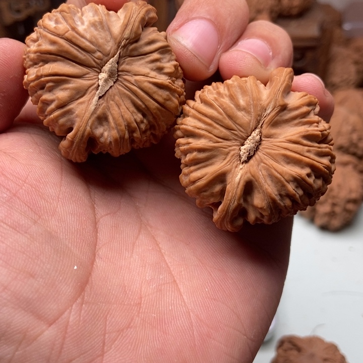 文玩核桃把件话*43全品白狮子