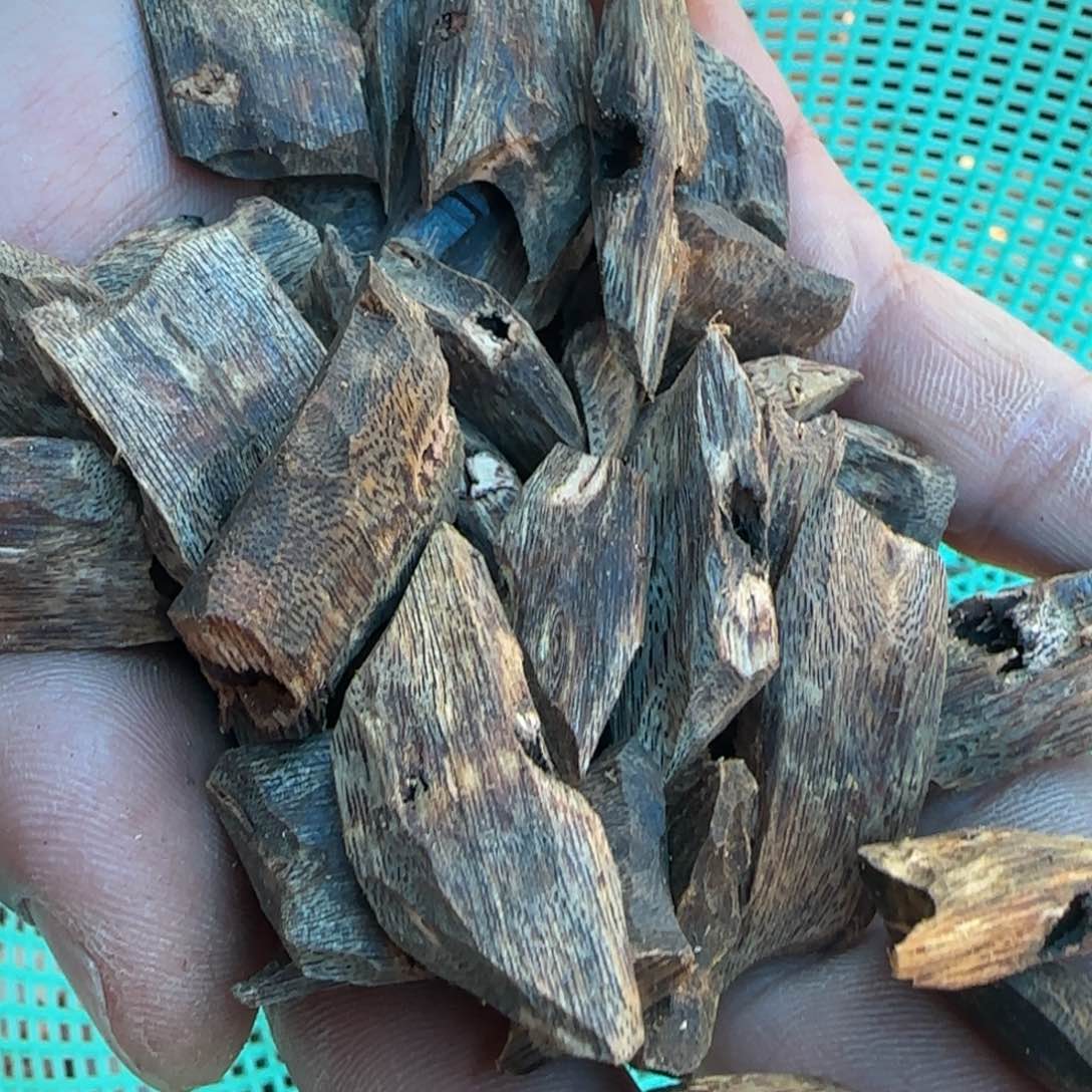 树脂制品奇楠熏香块料30克一份多样性发一份