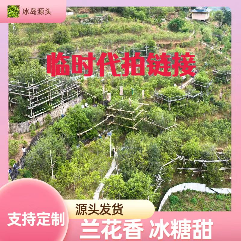 【通用链接普洱茶】以展示实物为准
