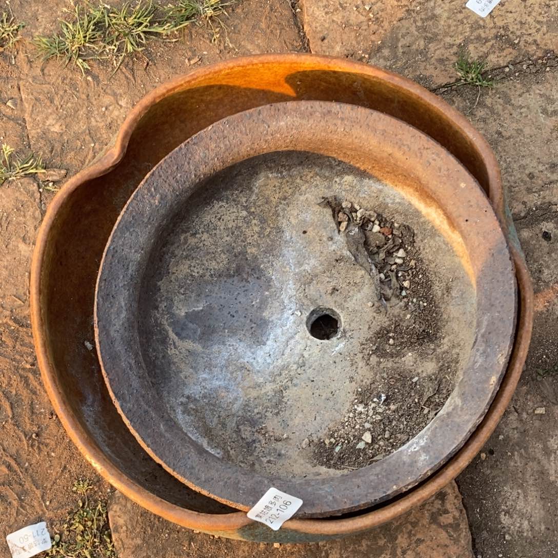 心**飞106号两个大多肉盆组合