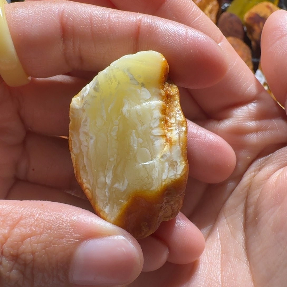 定制琥珀未镶嵌定制