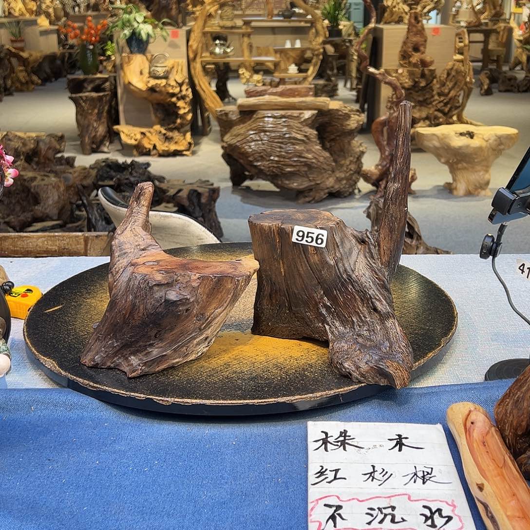 红***卫香榧木956/2.gkjloowwwozxyut