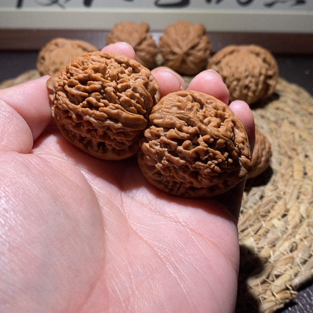 (***ง桃核吊坠37蚂蚁王