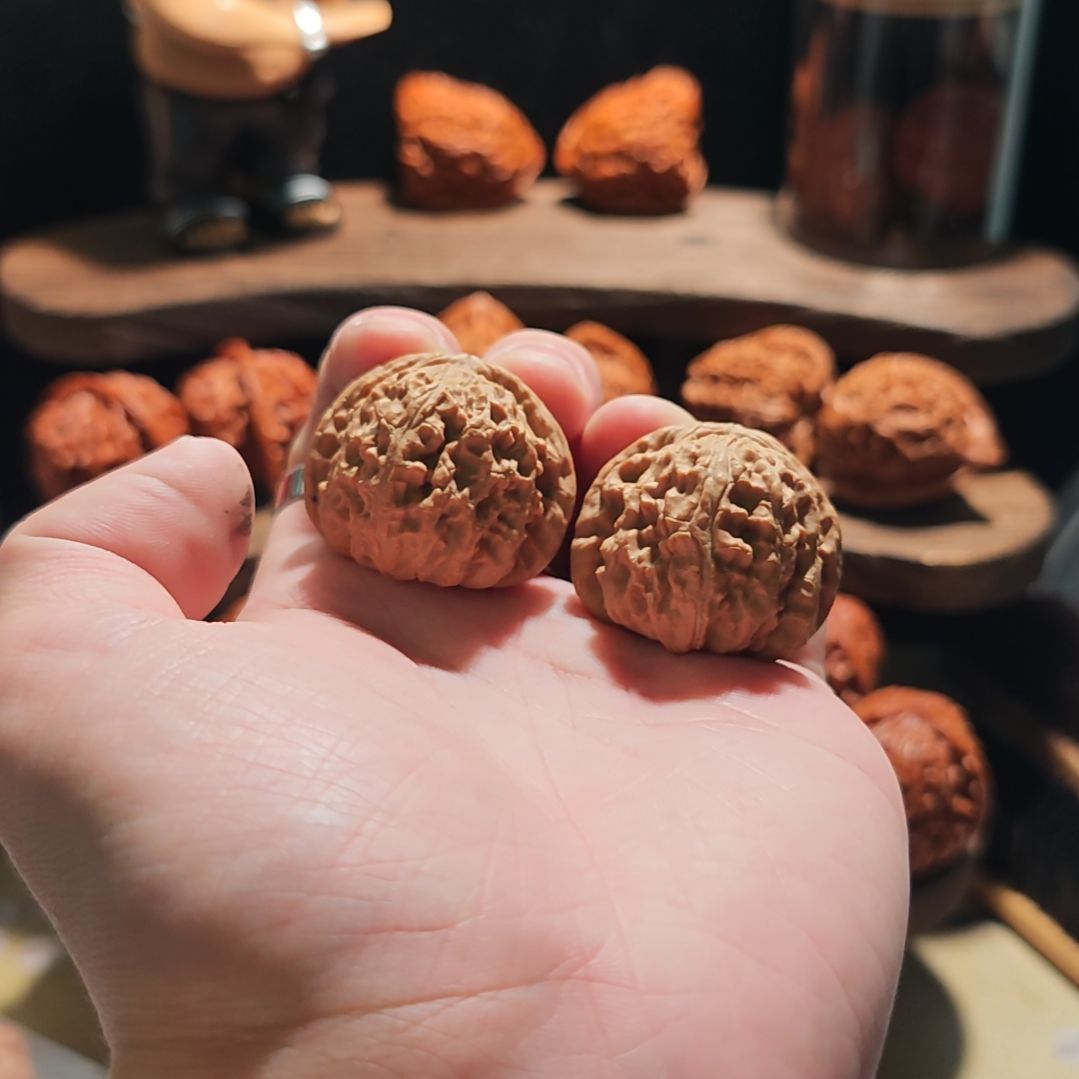 s***r把件文玩核桃36全品白狮子