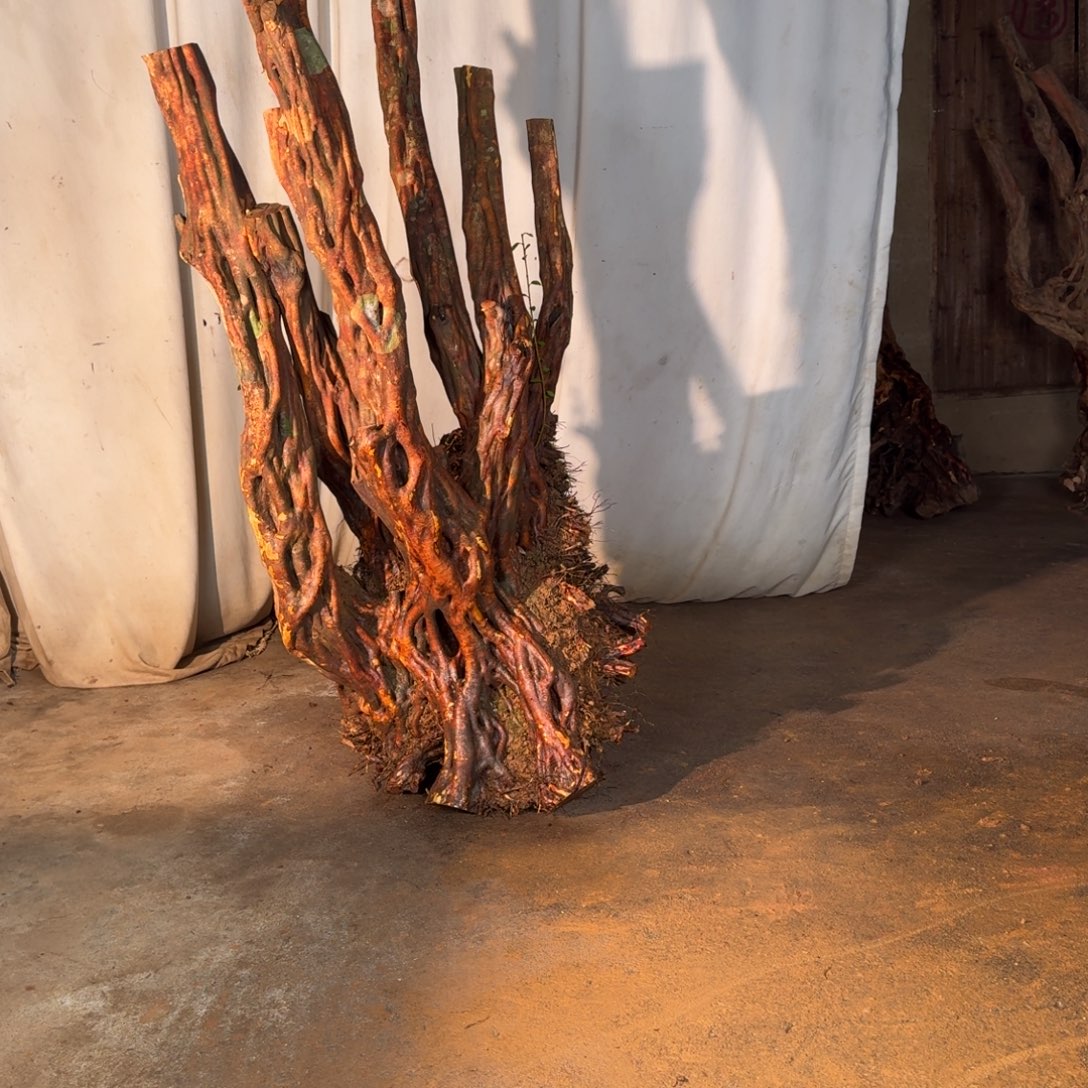 大***乐889999999999999999