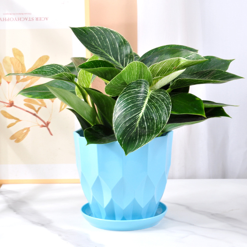 2024年新款花盆丨轻奢高级感树脂塑料绿箩多肉精致小花盆厂家直销