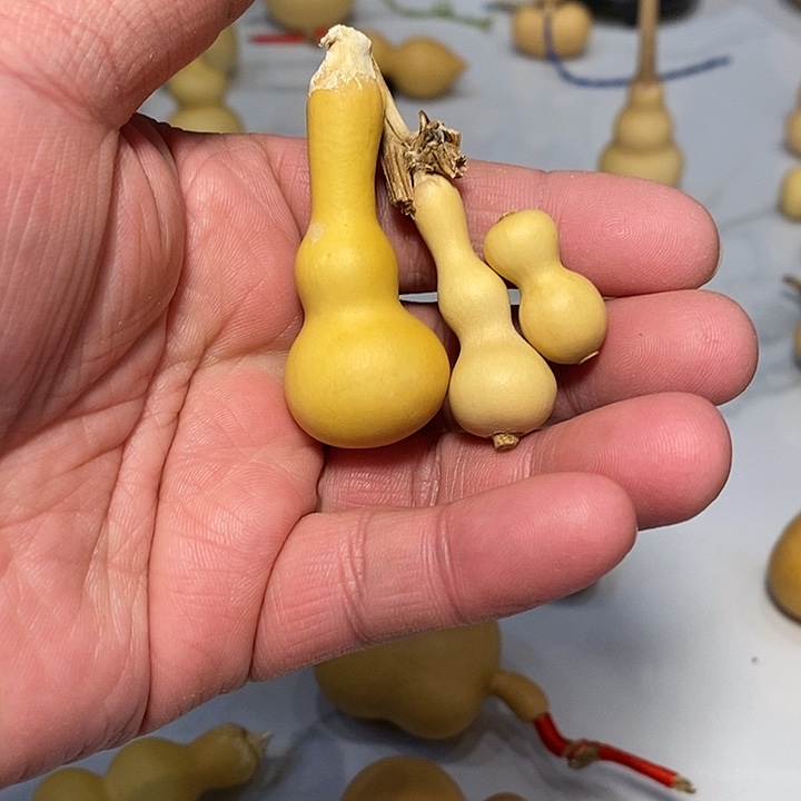 燕*精品葫芦手把葫芦2