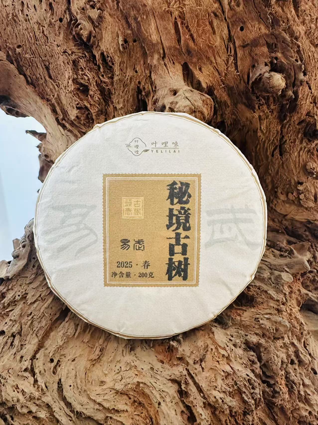 2025易武秘境古树生普（200克饼）