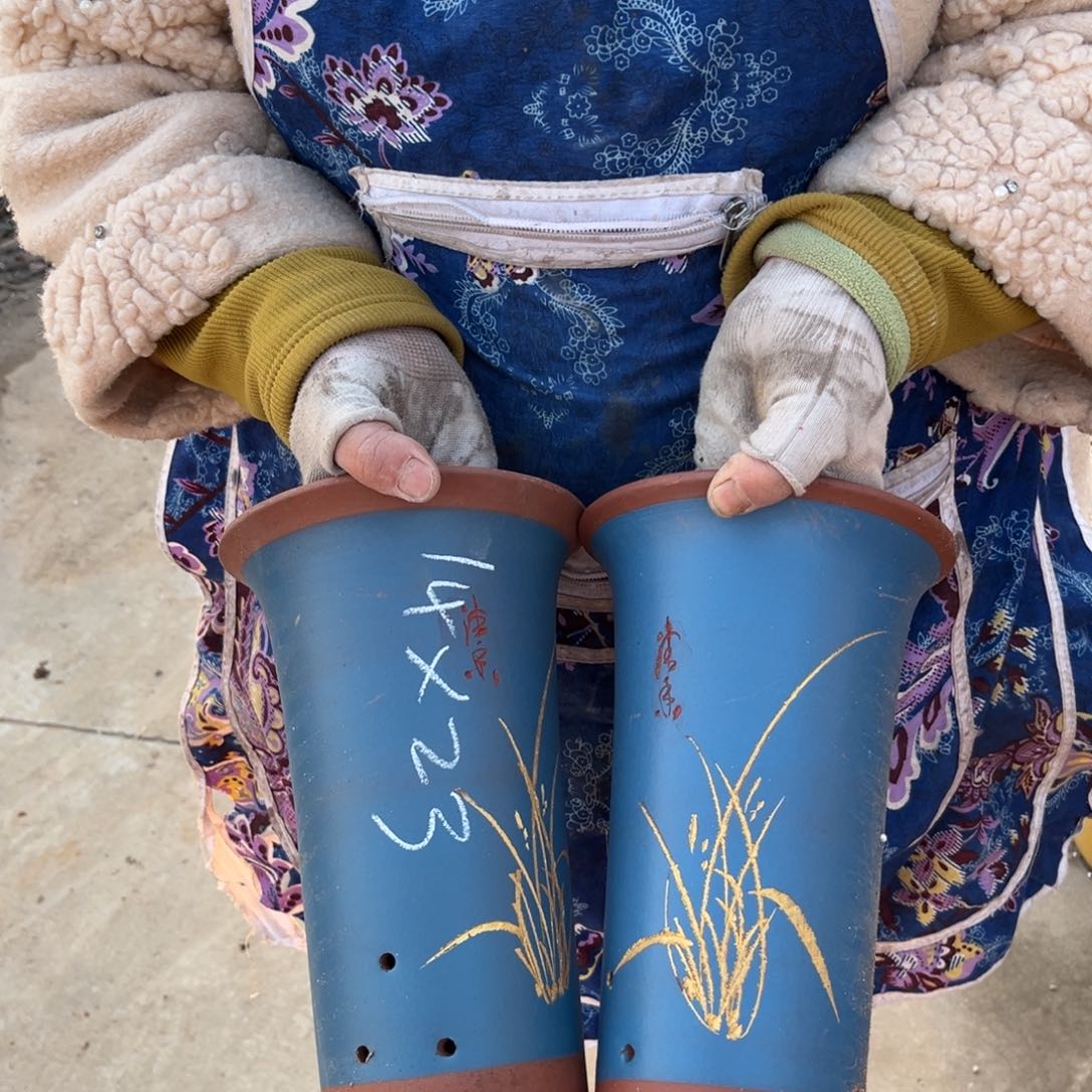 紫泥花盆 紫砂花盆