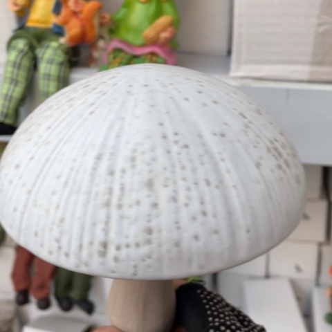 【闪购商品】缸摆件摆件摆摆件摆件摆件