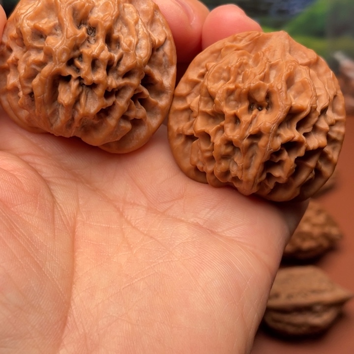 我***头核桃我国的经济发展和社会进步