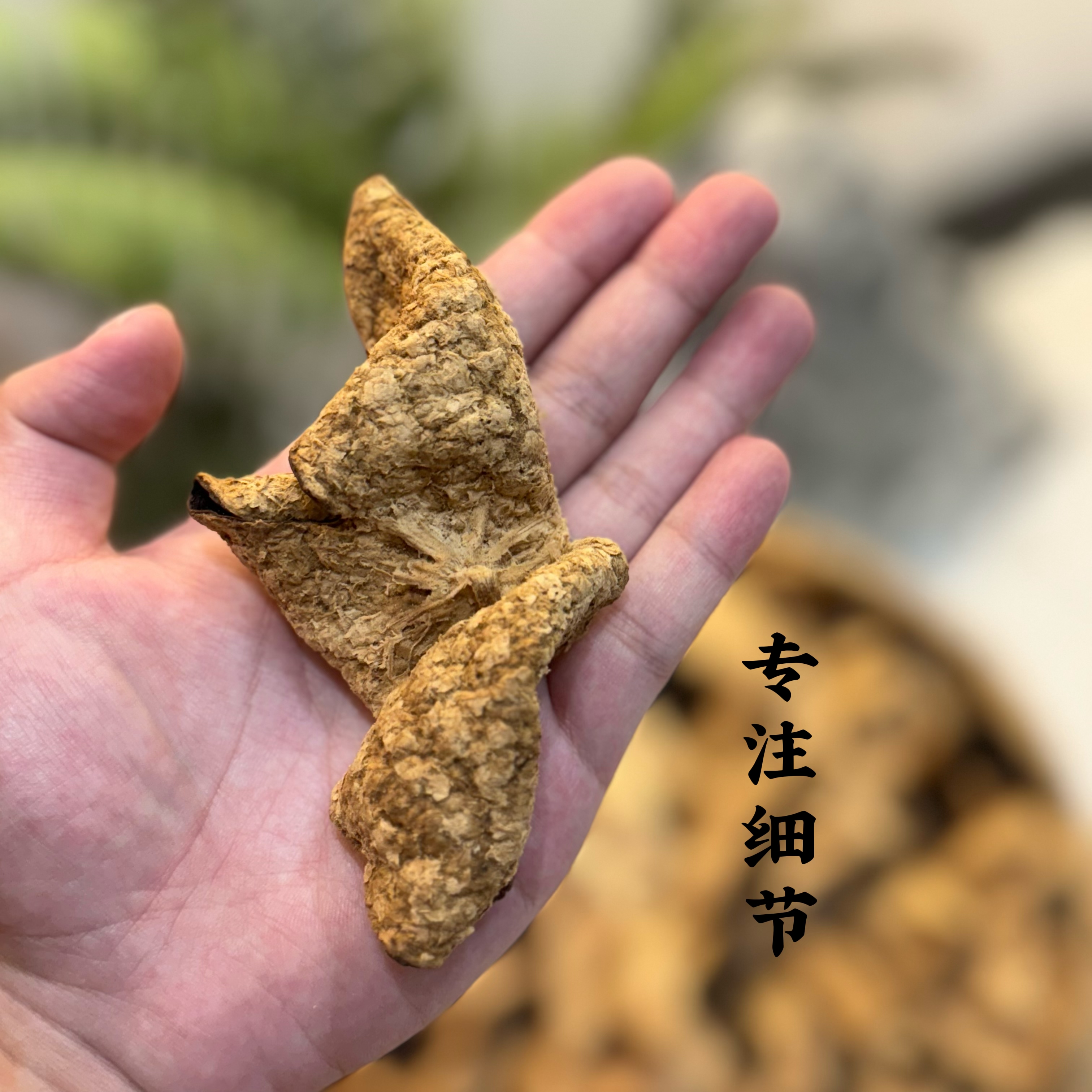 2016年西甲原枝大红冬后单片 新会陈皮