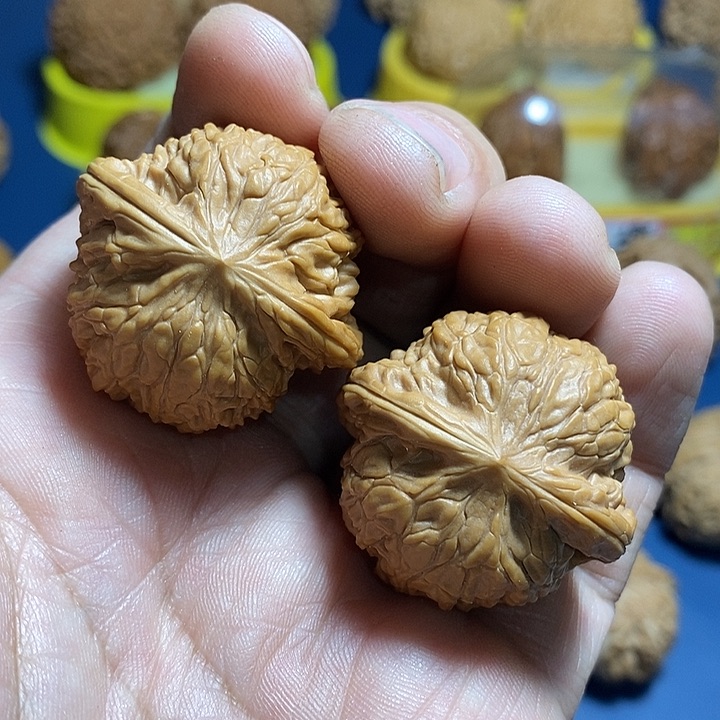 文玩核桃把件1****姨35.5尺，磨盘