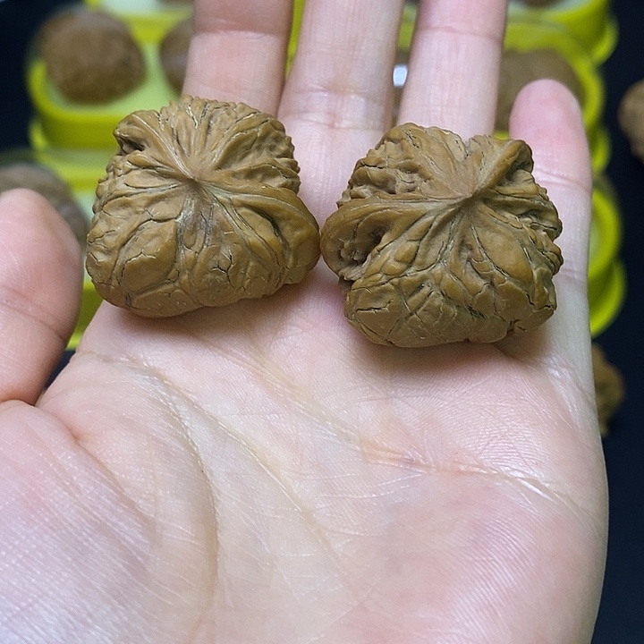 吊坠文玩核桃文玩全品宫灯蛇