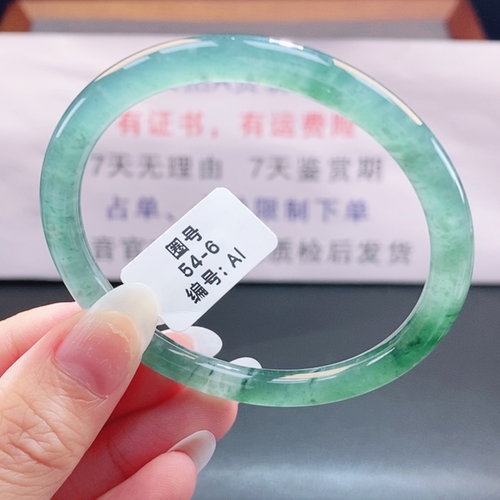 翡翠未镶嵌手镯翡翠手镯102