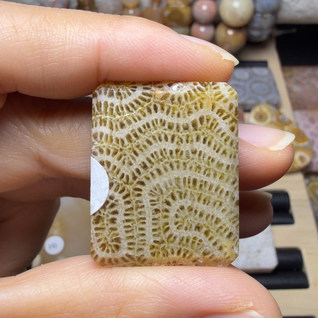 硅化玉未镶嵌干净又清晰的小龙骨纹，有包容