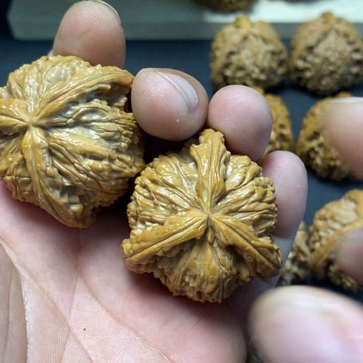 核桃其他下****41白奔正奔