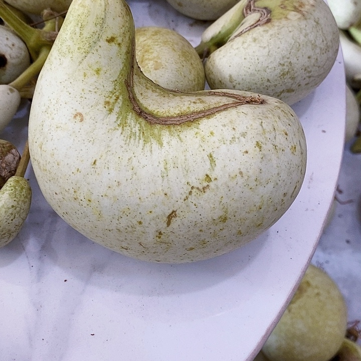 劳***范腰子葫芦到家发发发