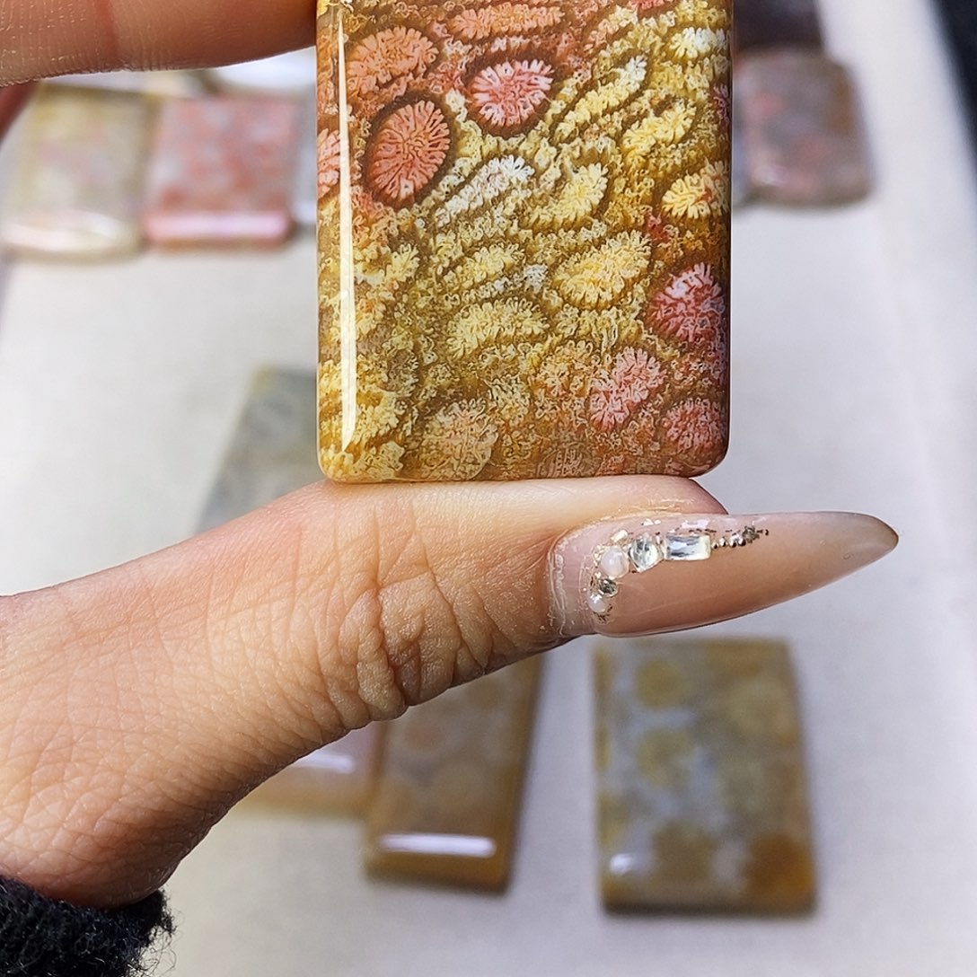 查罗石合金颈饰彩*