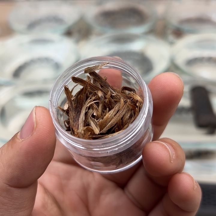 沉香碎屑沉香芽庄树心油树心油一克