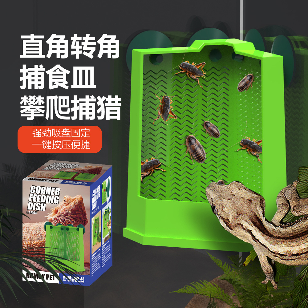 蜥蜴守宫鬃狮面包虫杜比亚蟋蟀吸盘可悬挂摆放诱食捕猎野外捕食皿