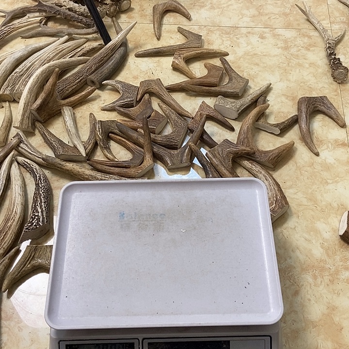 长***鸮大叶紫檀（黑酸枝木类）