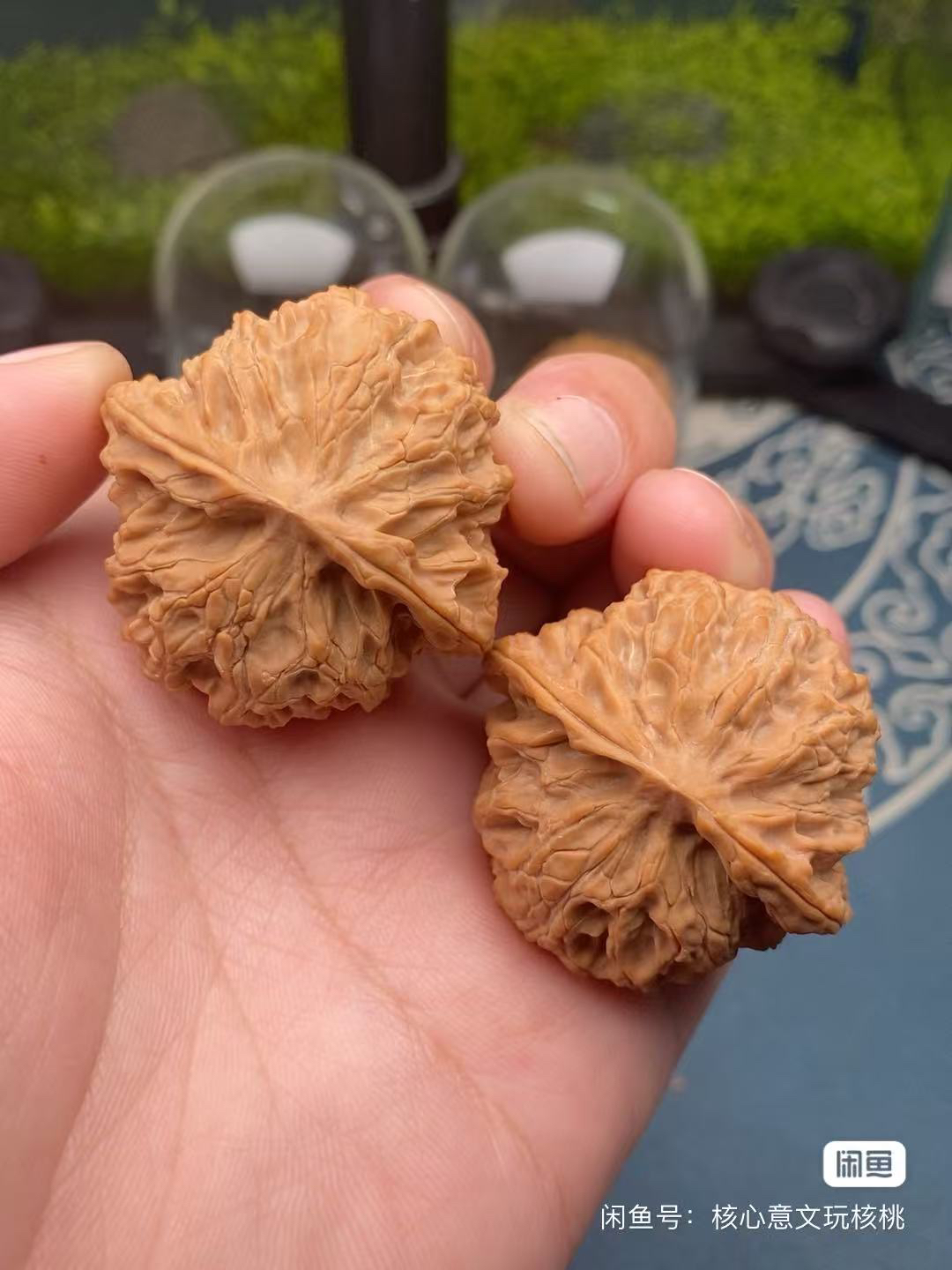 文玩核桃铁锤妹妹