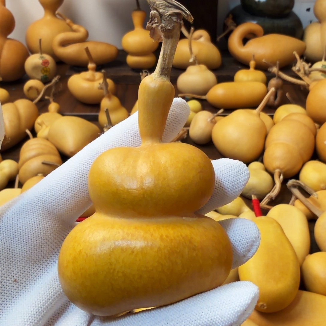 纯天然的真葫芦53