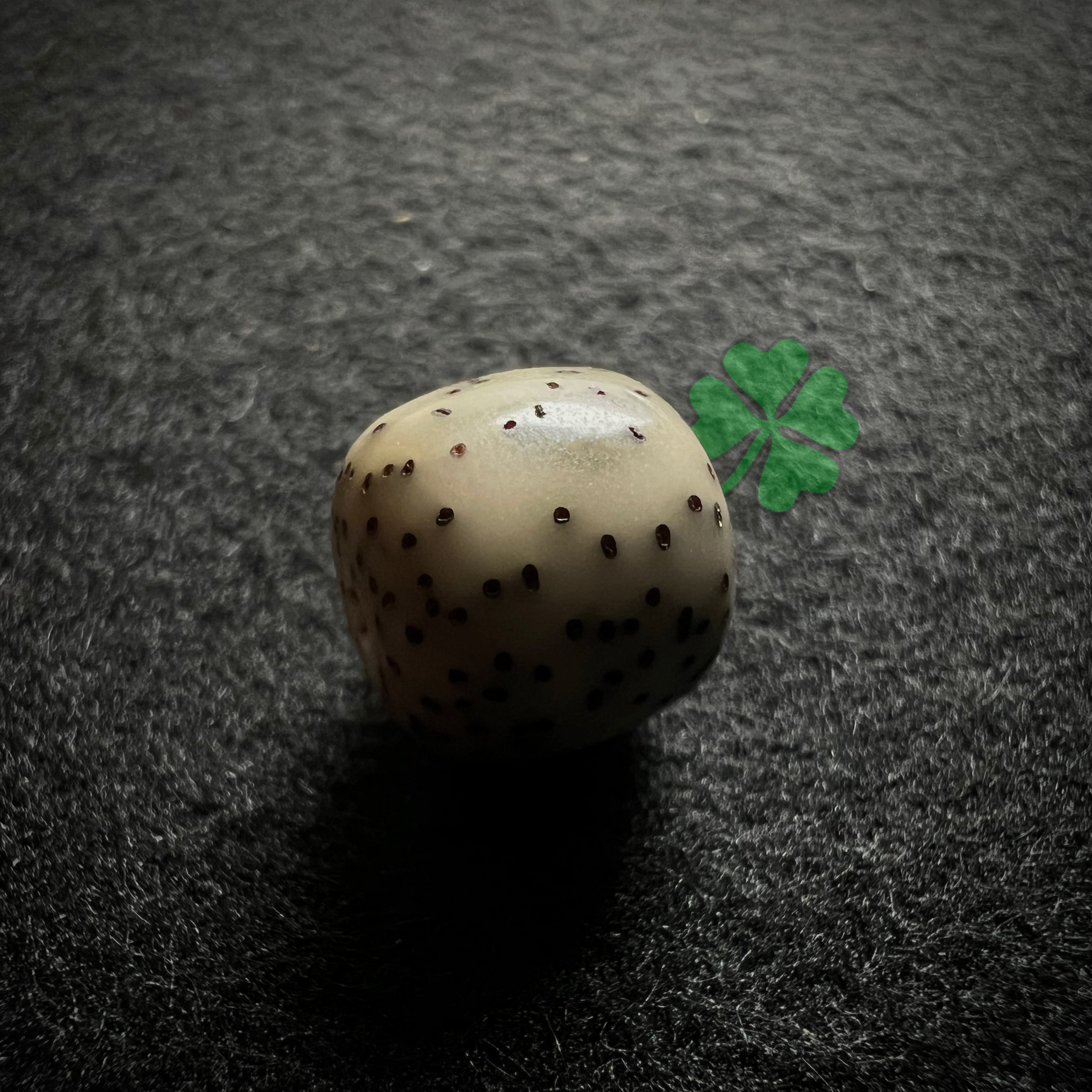 b1不凡星月菩提改价链接