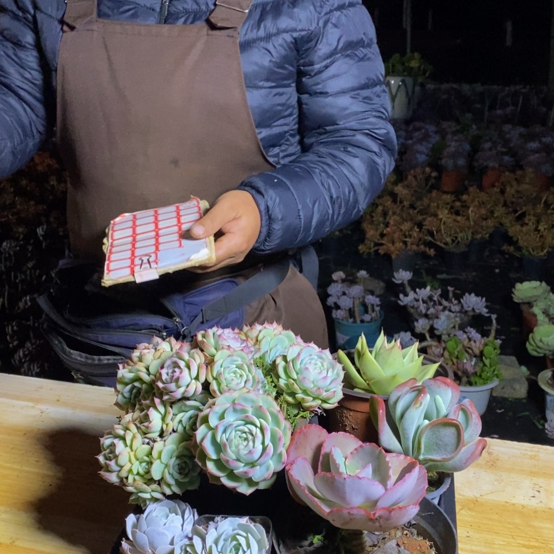 一单包邮不包整1️⃣物一拍