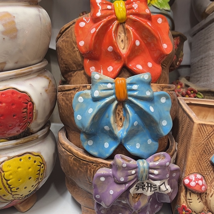 粗陶材质多肉花盆