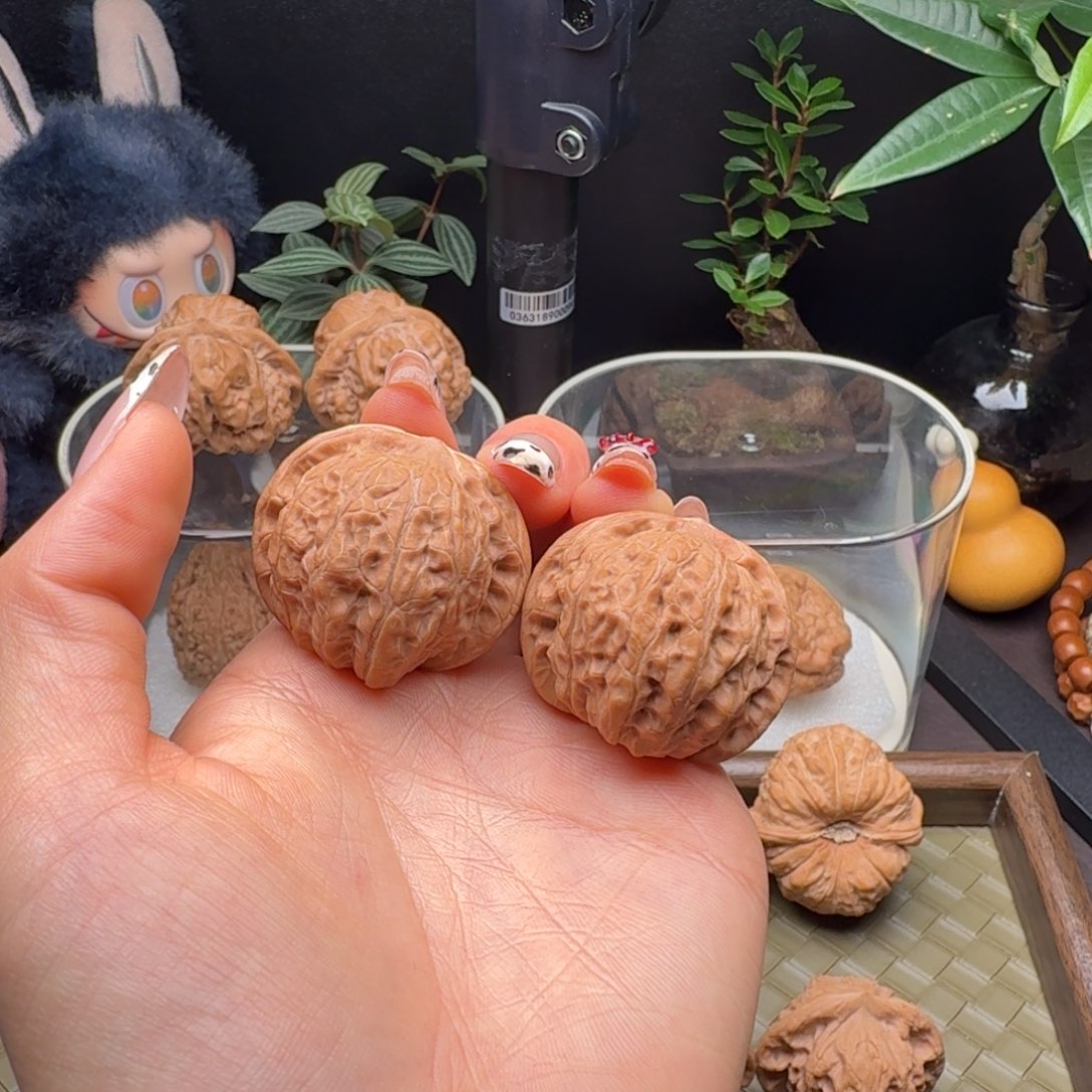 把件龙脊菩提全品乾隆磨37
