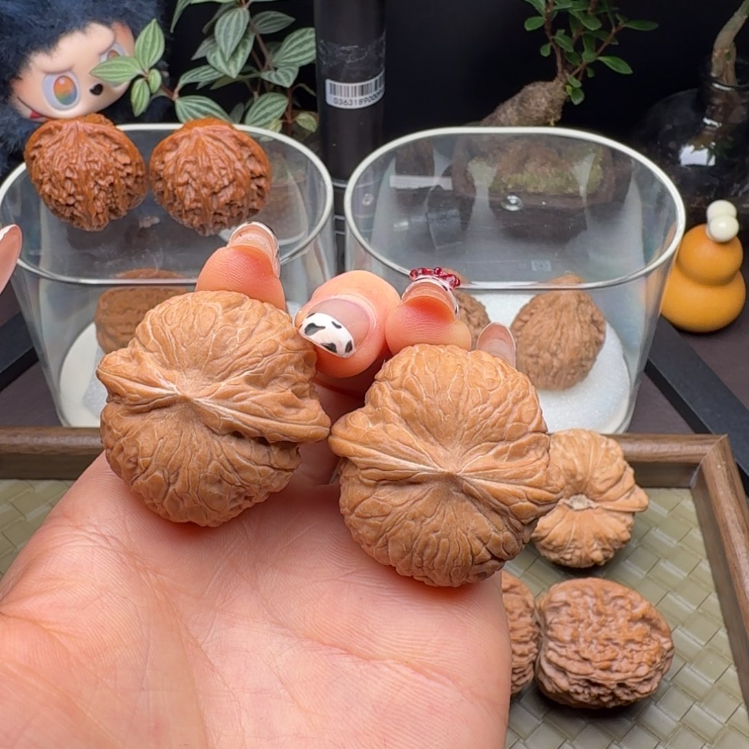 核桃全品乾隆磨36