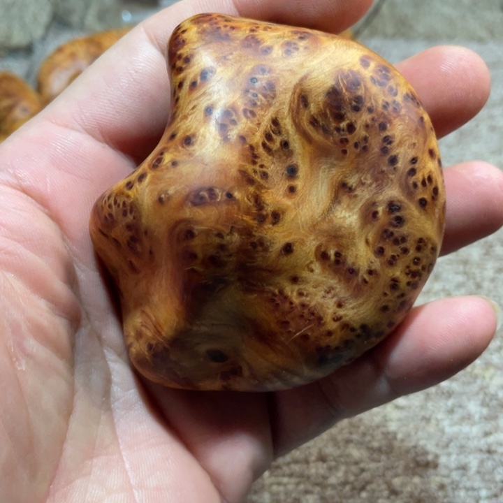 其他柏木（崖柏）把