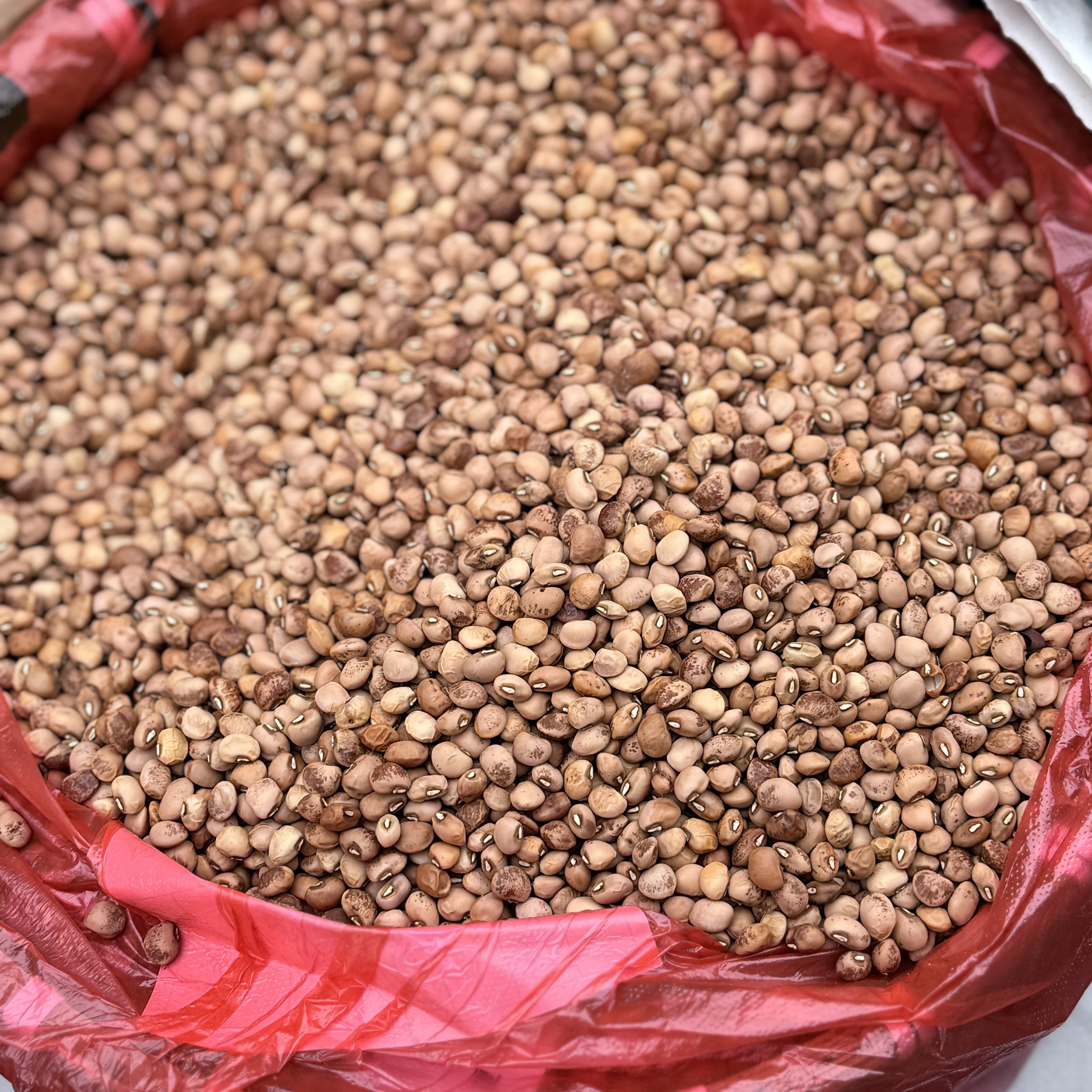 湖南农家特产自制饭豆干货农户特色