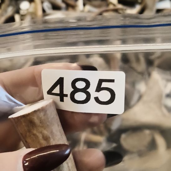 博***览鹿角鹿角鹿角鹿角鹿角鹿角