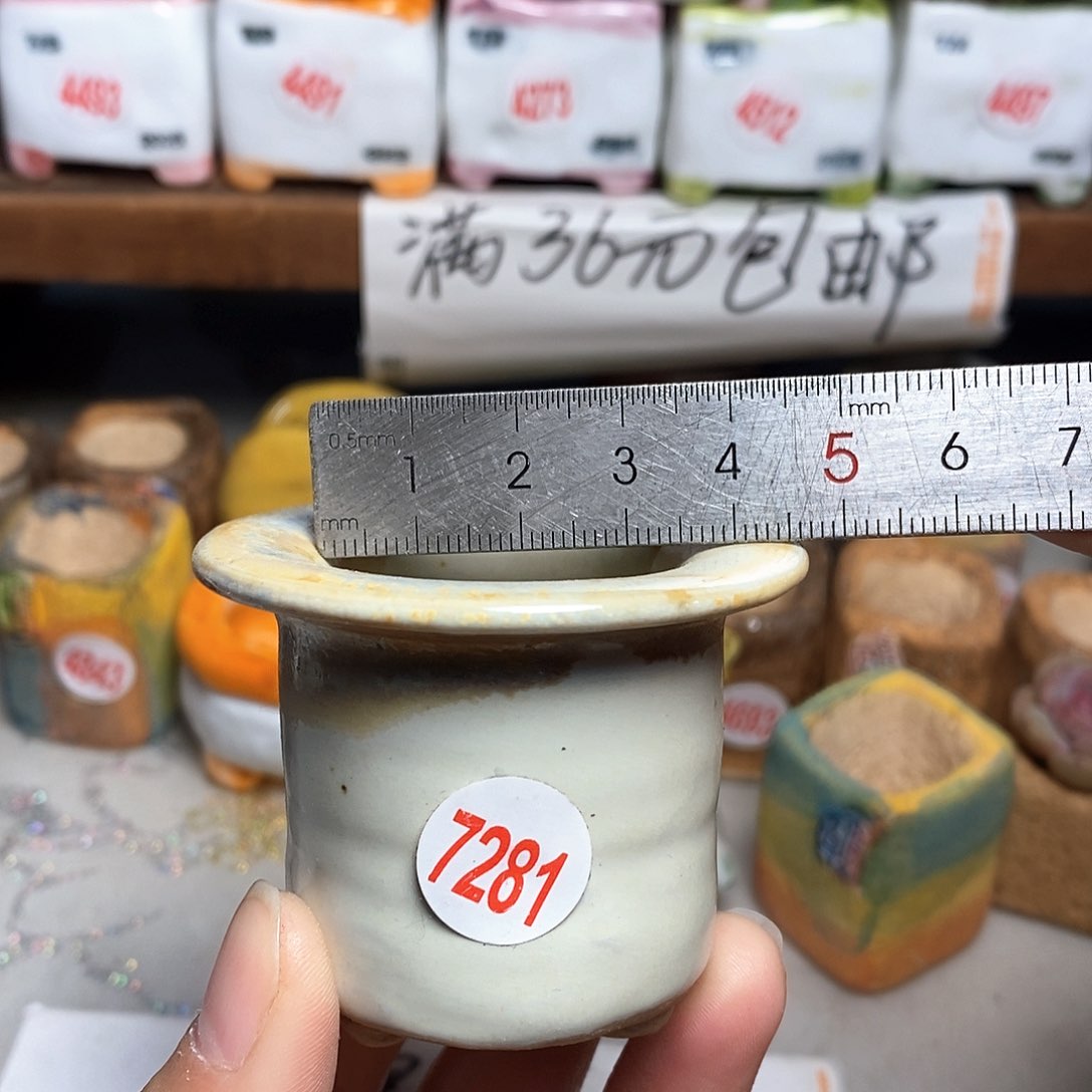 红陶拍5送一个小