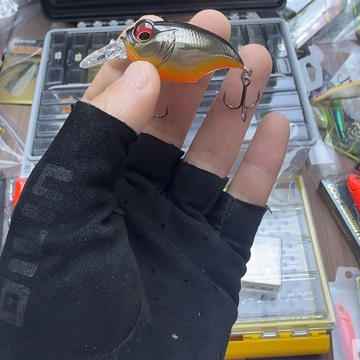 闪购专拍（图片为主）