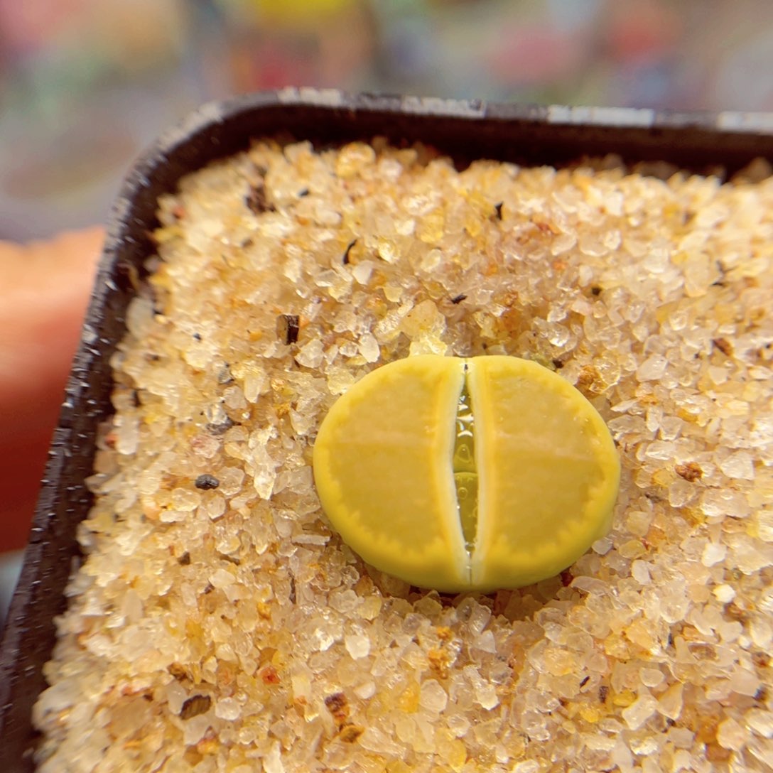 259. 56897666666677788