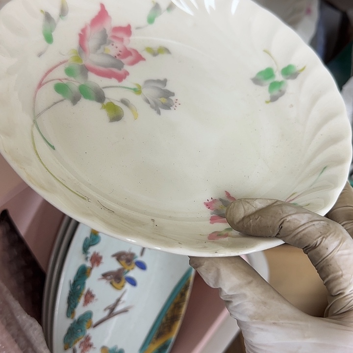 杯开播啦…开播啦