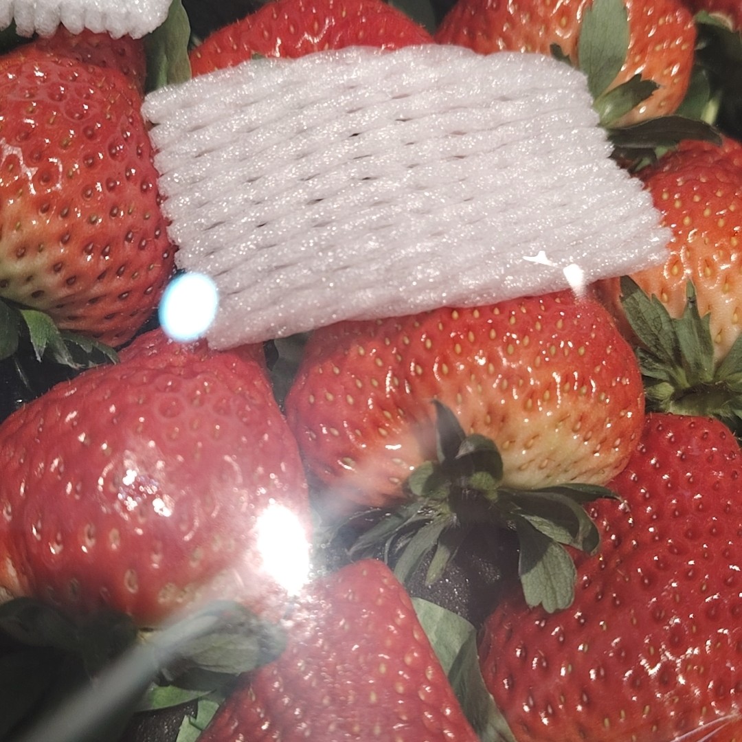 【丹东九九草莓】纯甜口草莓新鲜350g辽宁省