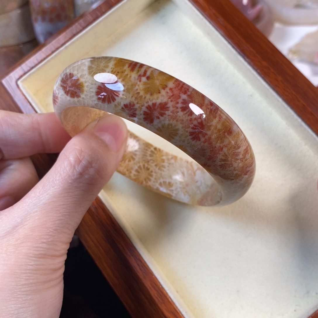 硅化珊瑚（珊瑚玉）未镶嵌手镯57.4口福利300