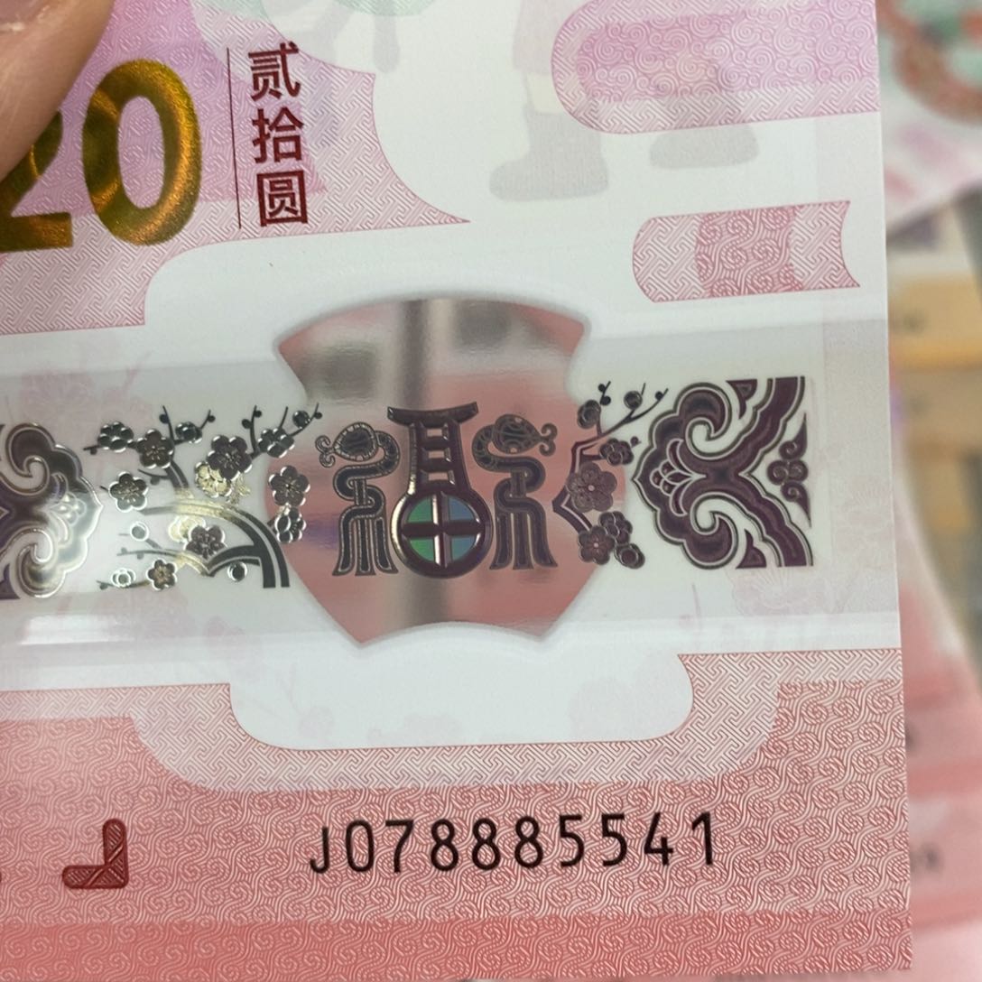 塑料5541…………………………………………