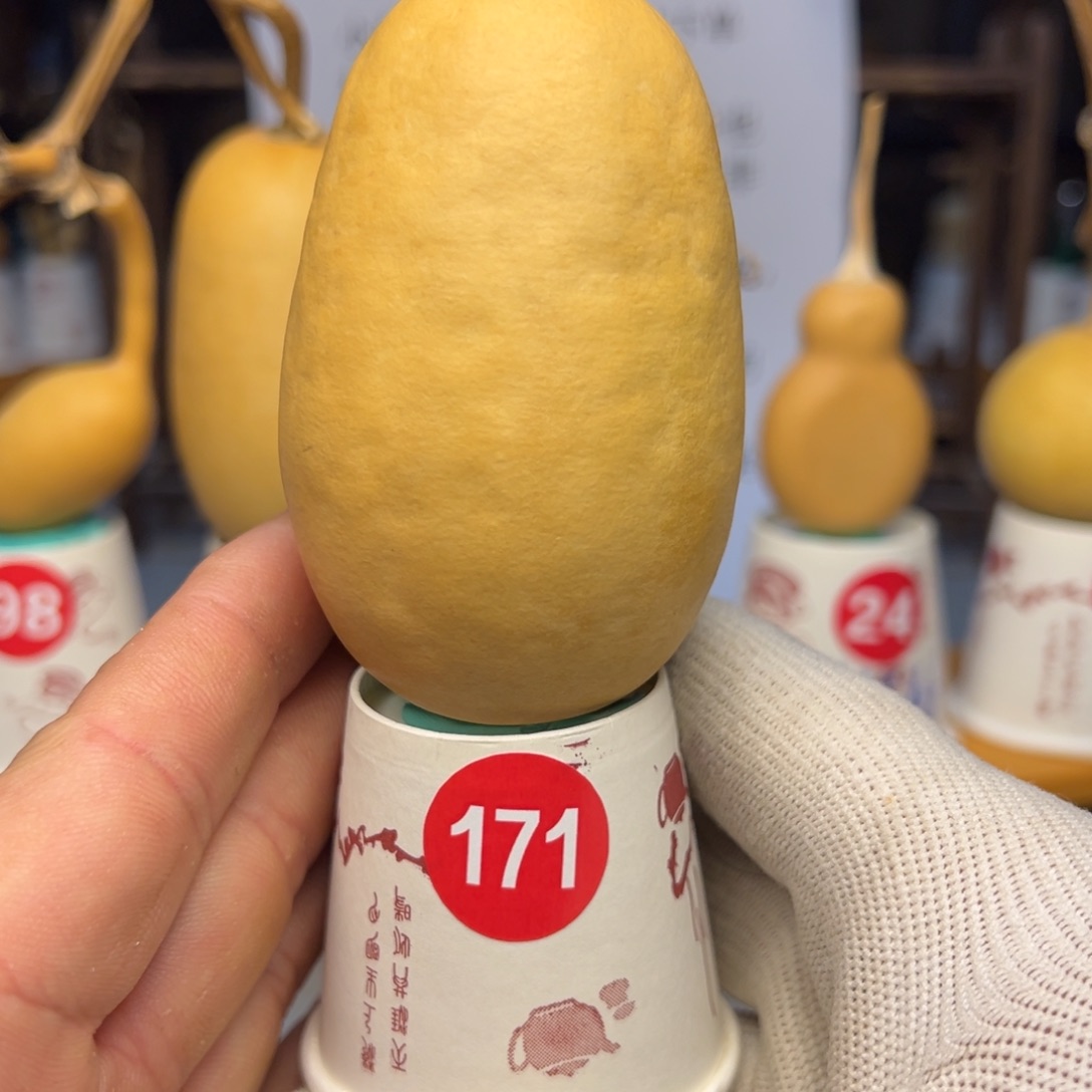 闪电购自助下单编号171